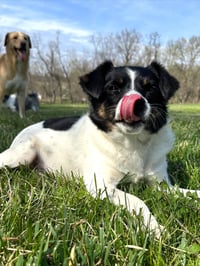Marcy - Photo 4