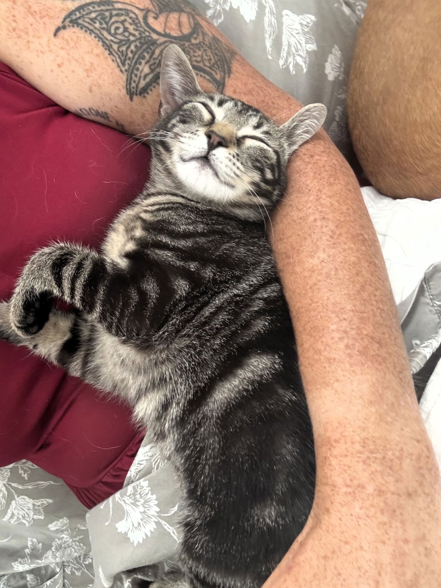 Laffy Taffy - Photo 3