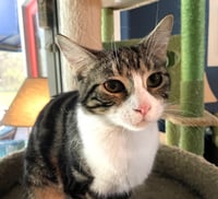 Frannie - Photo 2