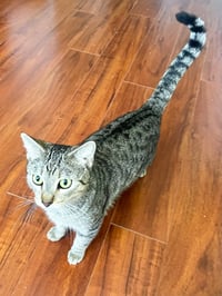 Timmy - Photo 4