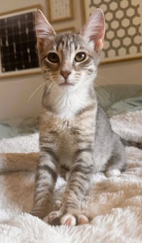Eliza - Photo 1