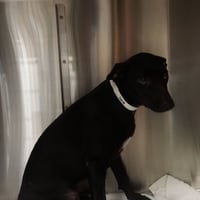 Darla - Photo 1