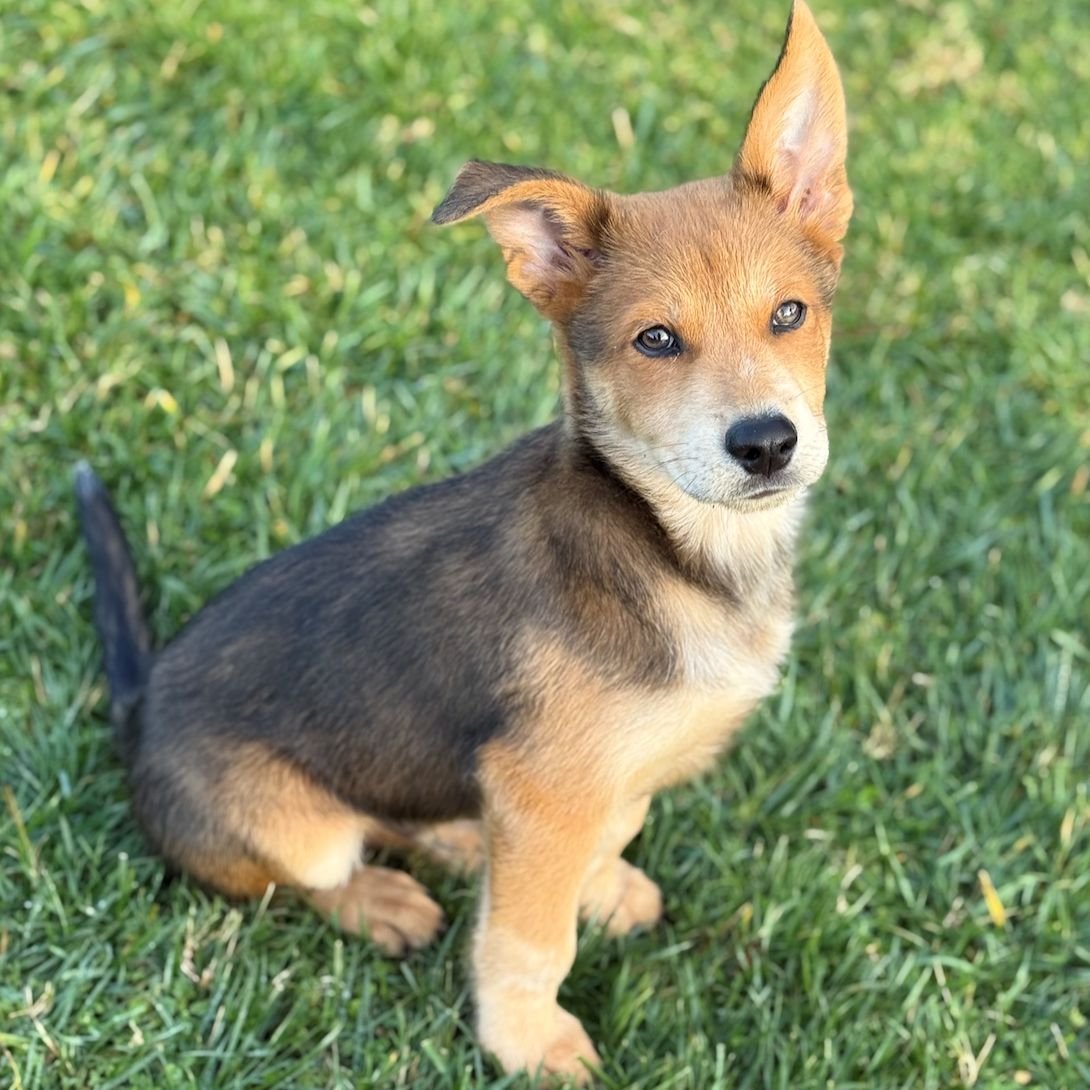 WILEY - Unknown available for adoption