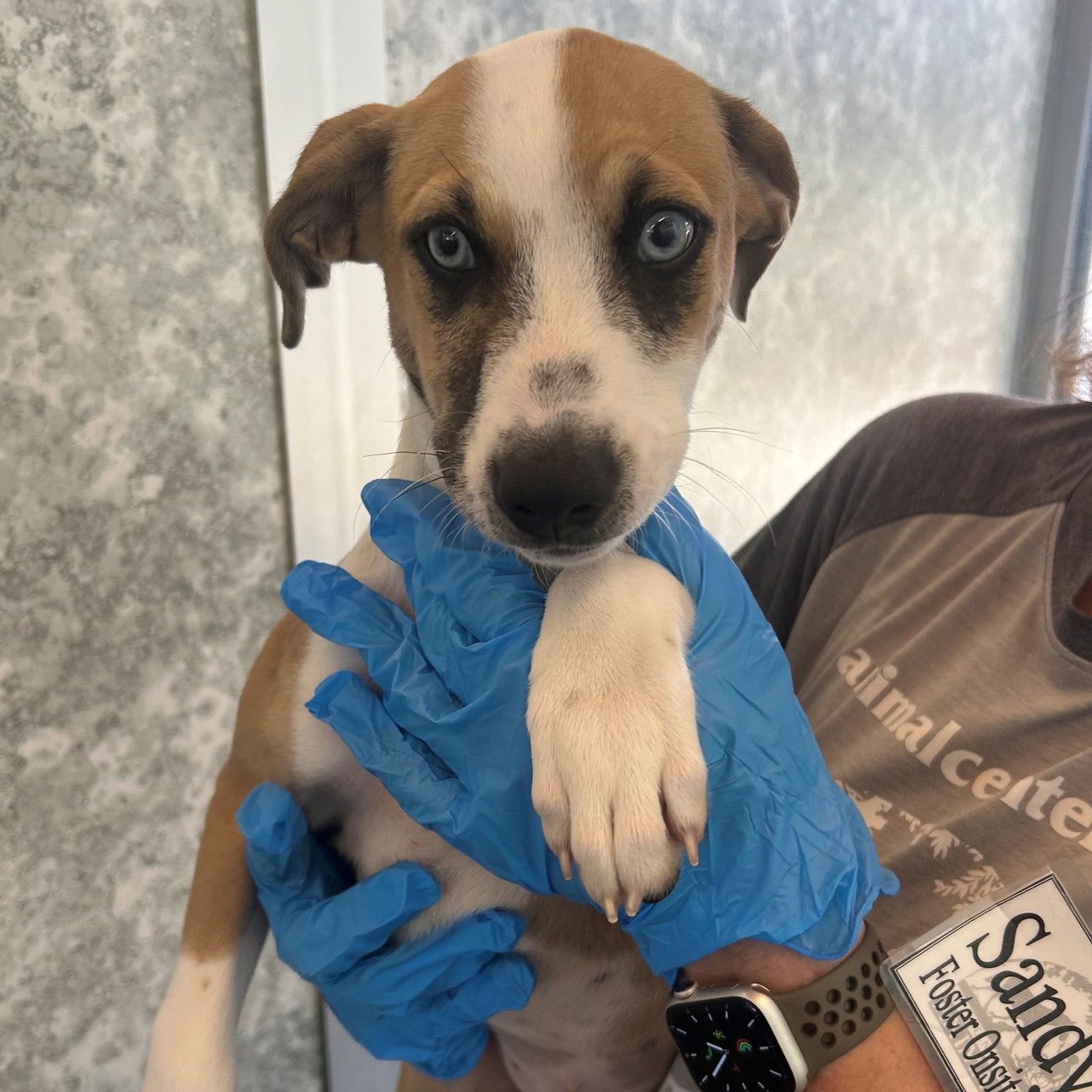 MUSHROOM - Unknown available for adoption