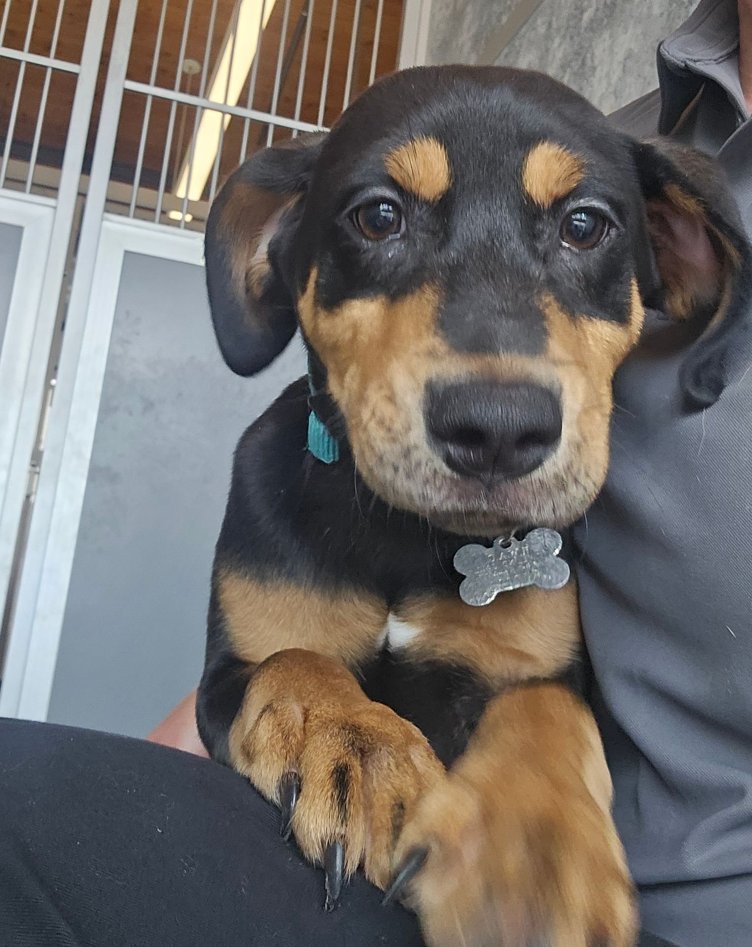 ERIC - Unknown available for adoption