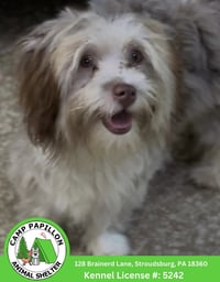 Wilma - Photo 1
