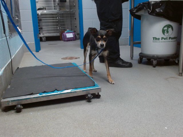 BENNY Image