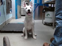 TILLAMOOK - Photo 1