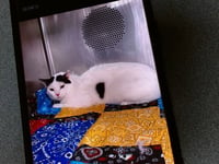 JAKE - Photo 1