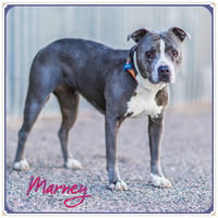 MARNEY - Photo 1