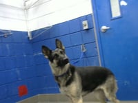HEIDI - Photo 1