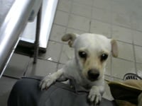 JUAN - Photo 1