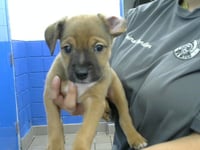 DOPY - Photo 1