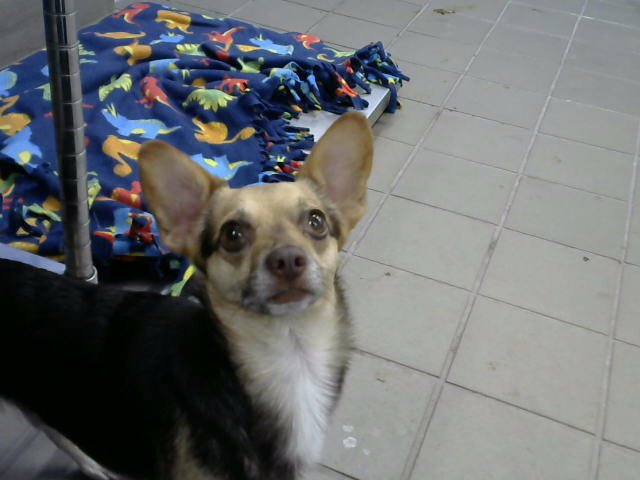 DOOBY Image
