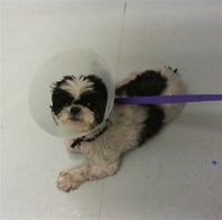OTIS - Photo 1