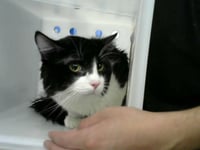 JACK - Photo 1