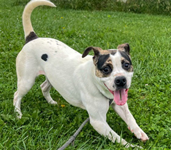 MISSY Image