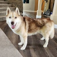 George - Photo 2