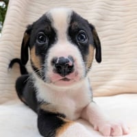 Slider - Photo 3