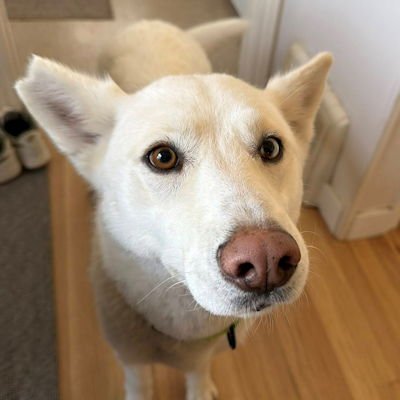 Sandy - Photo 4