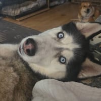 Echo - Photo 3