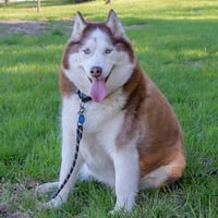 Templeton - Photo 3