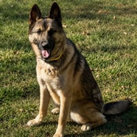 KAYO - Photo 5