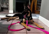 Sasha3 - Photo 7