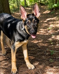 Sasha3 - Photo 9