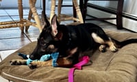 Sasha3 - Photo 3