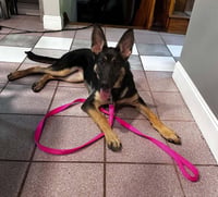 Sasha3 - Photo 6