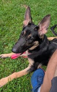 Sasha3 - Photo 12