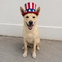Fritz - Photo 2