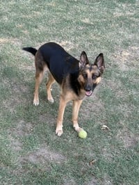 Jillian - Photo 4
