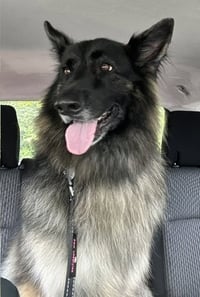 Athena - Photo 9