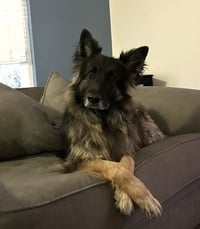 Athena - Photo 3