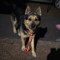 Goliath - Photo 18