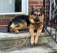 Goliath - Photo 7