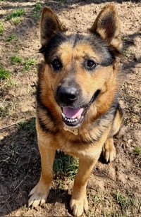 Goliath - Photo 13