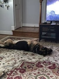 Goliath - Photo 8