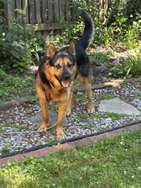 Goliath - Photo 9