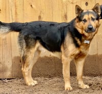 Goliath - Photo 17