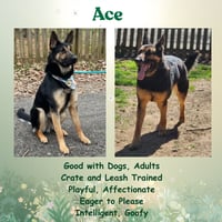 Ace23 - Photo 8