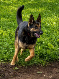 Ace23 - Photo 5