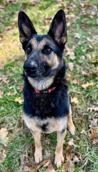 Ace23 - Photo 13