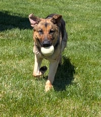 Luna - Photo 5