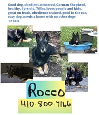 Rocco - Photo 11