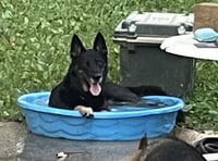 Rocco - Photo 8