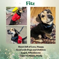 Fitz - Photo 7