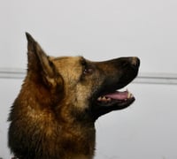 Gia - Photo 6